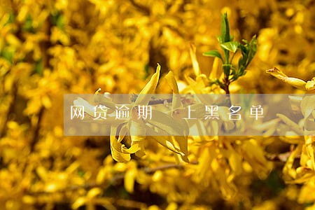 网贷逾期 上黑名单 网贷逾期 上黑名单
